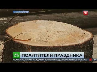 Украли праздник. В Нижнем Новгороде площадь украсили похищенной елкой