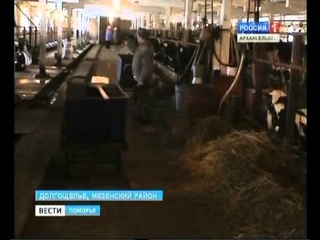 Вести Поморья, Ферма СПК Рыбколхоз Север