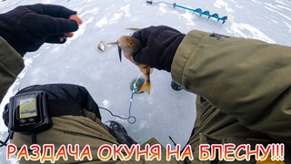 ЭХОЛОТ сошёл сума! РАЗДАЧА окуня с лунки на зимнюю блесну МАРОПЕДКА!!!