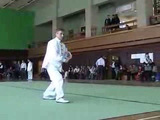 Стиль ушу “Солнечный Кулак“