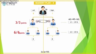 Презентация компании LNS.