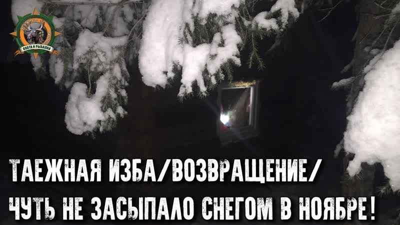 Таёжные приключения продолжаются, Возвращение в нашу избу,