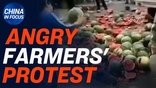 China farmers destroy melons to protest city management; Shred trucks seen at China consulate in NYC