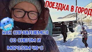 🚗Ездили в город 🛒Купили осп,🐓Породистого петушка, 🥕семена на посадку 🥶Мороз наступил…