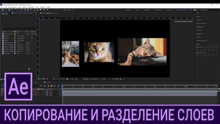 AE 2.3. Копирование и разделение слоев / Курс Adobe After Effects