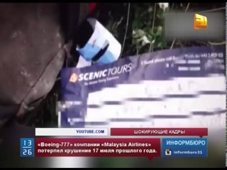 В сети появились шокирующие кадры с места крушения малазийского Boeing-777 под Донецком
