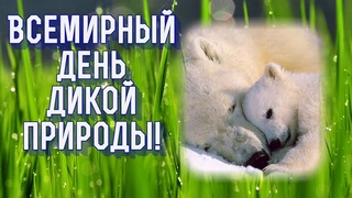 Всемирный день дикой природы! -3 марта.