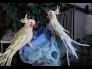 Con vt t km nhung| Lm  Handmade
