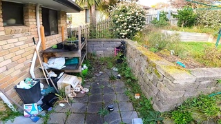 Is this Yard Beyond REPAIR | Almighty Garden TRANSFORMATION