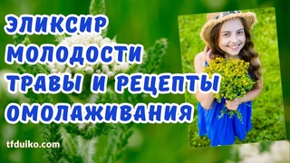 Эликсир молодости: Травы и рецепты омолаживания