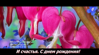 Красивое поздравление с Днём рождения 2020, Поздравляю С Днём рождения 2020