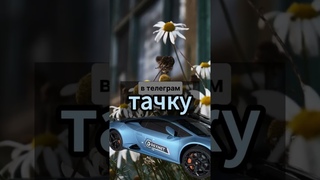 Хочу тачку #доход #bitcoin #заработок