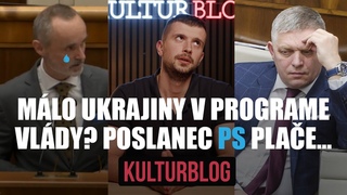 Mlo Ukrajiny v programe vldy Poslanec PS plae...