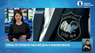 День региональной Общественной палаты в Еманжелинске
