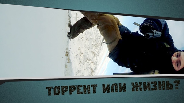 ТОРРЕНТ ИЛИ