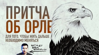 Притча об орле: для того, чтобы жить и радоваться нужно меняться