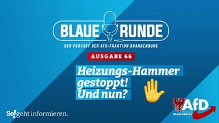 Heizungs-Hammer gestoppt. Und nun | Die Blaue Runde, Ausgabe 66