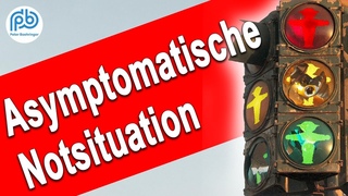 AfD bei der Arbeit fr einen korrekten Haushalt  Boehringer Klartext (216)
