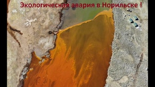 Как Норильский Никель признал утечку 21000 тонн солярки !!! Директор Департамента обществ. связей.