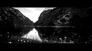 Moongates Guardian - I Sit Beside The Fire And Think