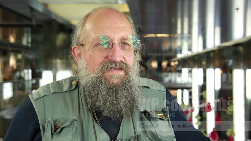 Васерман о событиях в Сирии Сеня Кайнов Seny Kaynov,