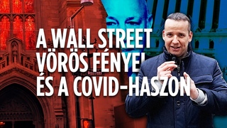 🇺🇸 A WALL STREET VÖRÖS FÉNYEI ÉS A COVID-HASZON 🇺🇸 [ENG SUB]
