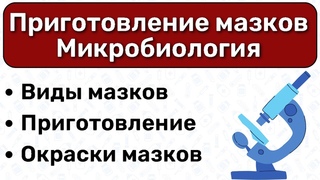 Мазки микробиология: приготовление мазков, виды окрасок микробиология