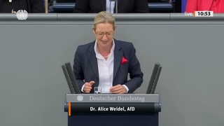 EILMELDUNG 🚫 Alice Weidel reicht es mit der dreckigen AMPEL! NEUWAHLEN demnächst?