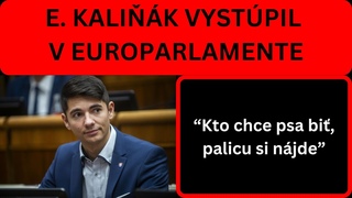 E. Kalik v europarlamente: Tto debata je len a nechutn tok na suvernny lensk tt!