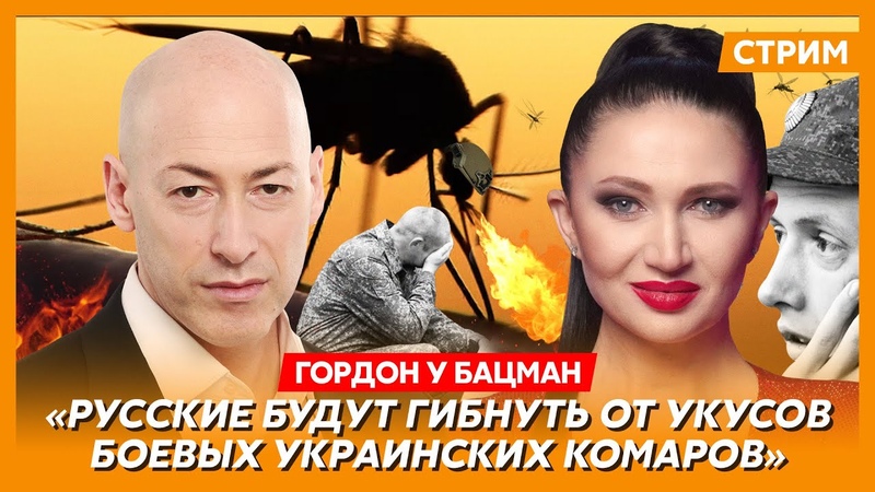Гордон. Прослушка Путина, Зеленский о Залужным, мышиная