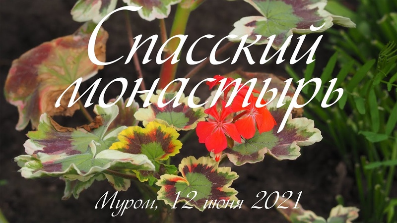 Спасский монастырь, Муром, 12 июня 2021, Spassky Monastery, Murom, June 12,