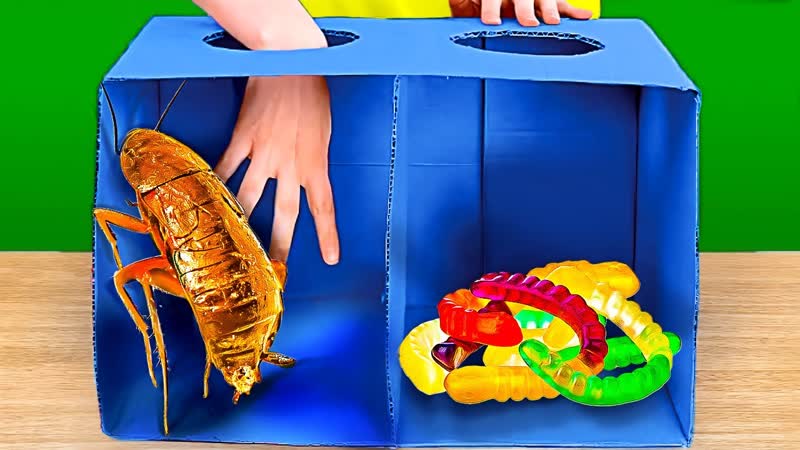 MYSTERY BOX CHALLENGE Popular Tik Tok Challenges, Games And