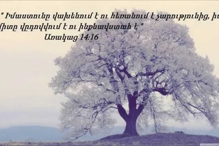 Eva - Nerir indz aysor