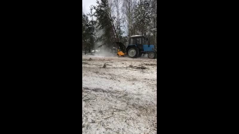 Демонстрация работы мульчера Serrat FX 3 на базе трактора МТЗ 82,