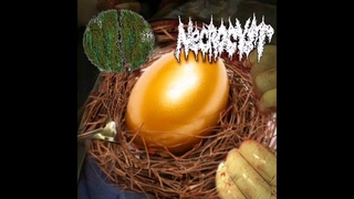 Necrocyst - Split with Estenosis Aortica