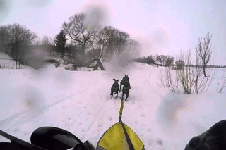 Суздальский луг 2016. Заплыв на 3700 метров :)
