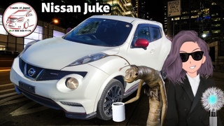 ЖУКИ СРЕДИ НАС!!! NISSAN JUKE 2014