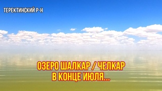 Озеро Челкар / Шалкар в конце июля! Вода цветёт!