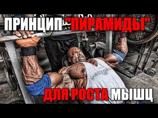 Принцип “Пирамида“ для роста мышц