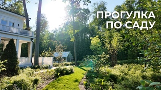 Прогулка по саду, стрижка лип, подсеивание и землевание газона