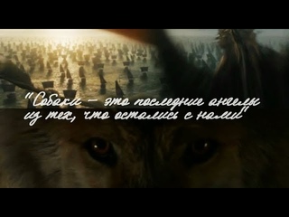 В ожидании 8 сезона: “Собаки - это последние ангелы“ - фанатский клип по Игре Престолов
