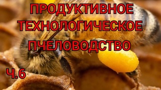 Ч.6 МНОГОКОРПУСНОЙ УМНЫЙ УЛЕЙ И МЕТОДЫ ПЧЕЛОВОЖДЕНИЯ. семья медовик и пакет из одной семьи.
