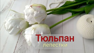 Подготовка и окрашивание лепестков | мк тюльпан из фоамирана