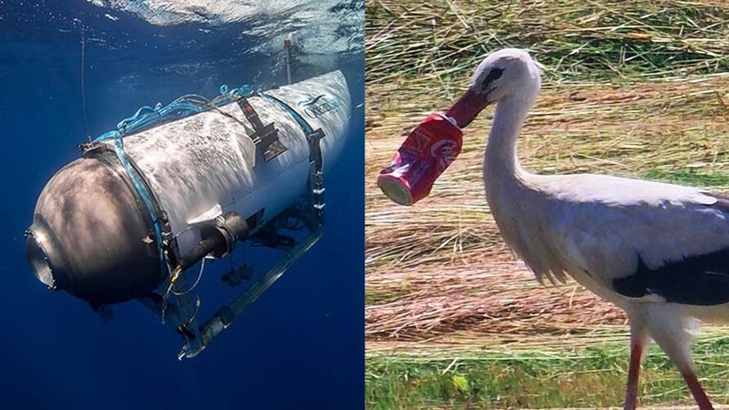 Cigogne, coca et sous marin Titan : linsoutenable vérité derrière ces