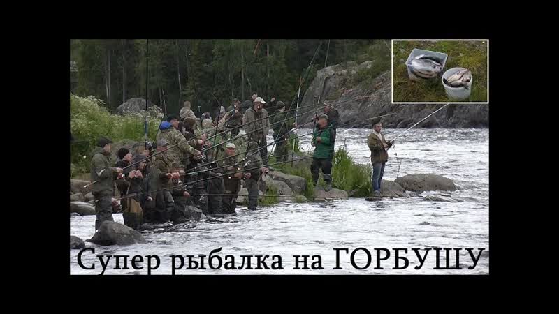 СУПЕР РЫБАЛКА НА ГОРБУШУ , SUPER FISHING FOR