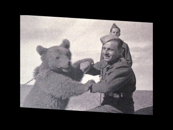 WOJTEK