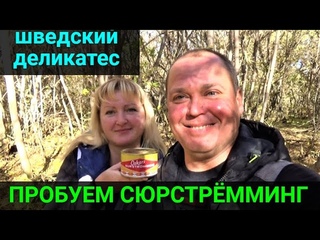 Первый раз пробуем сюрстрёмминг! Деликатес из Швеции!
