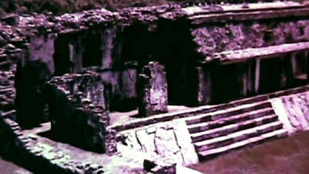Aphex Twin Stone in Focus ( Centinelas del