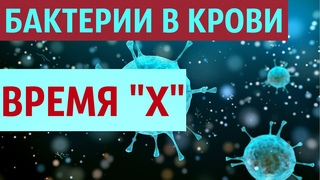 Как избавиться от бактерий в крови. Время икс