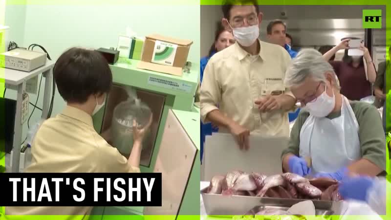 IAEA watch Japanese lab testing radiation in fish amid Fukushima water